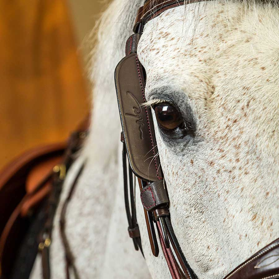 Focales / Clignotants 2-pack Brun