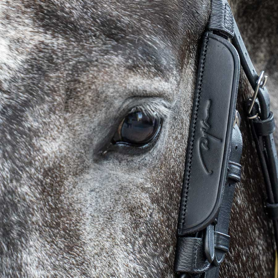 Focales / Clignotants 2-pack Noir