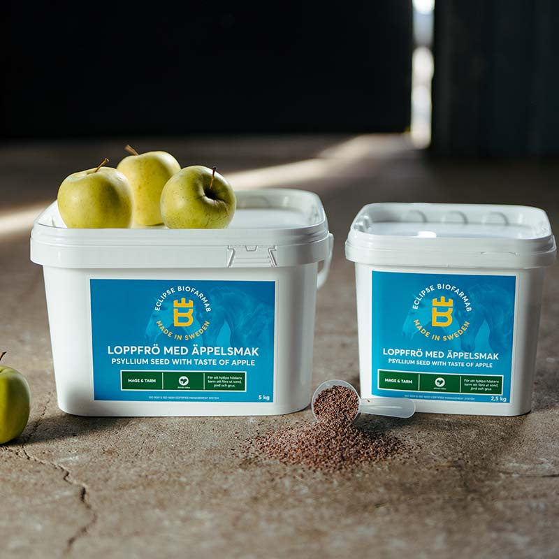 Graines de Lin au Goût de Pomme 2,5 kg 