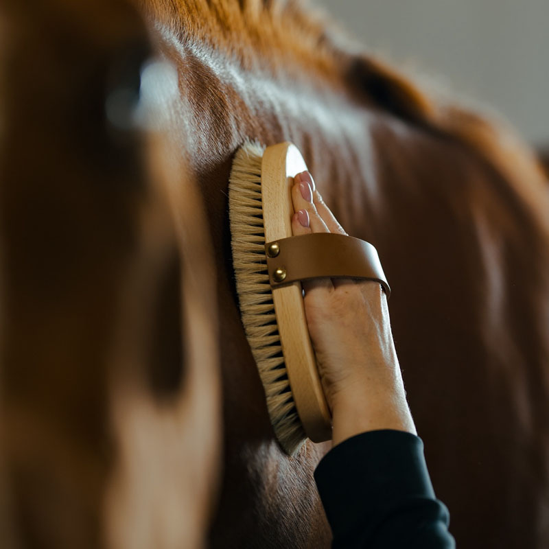 Brosse de toilettage avec sangle en cuir Tagel Marron