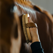Brosse de toilettage avec sangle en cuir Tagel Marron Brosse de toilettage avec sangle en cuir Tagel Marron