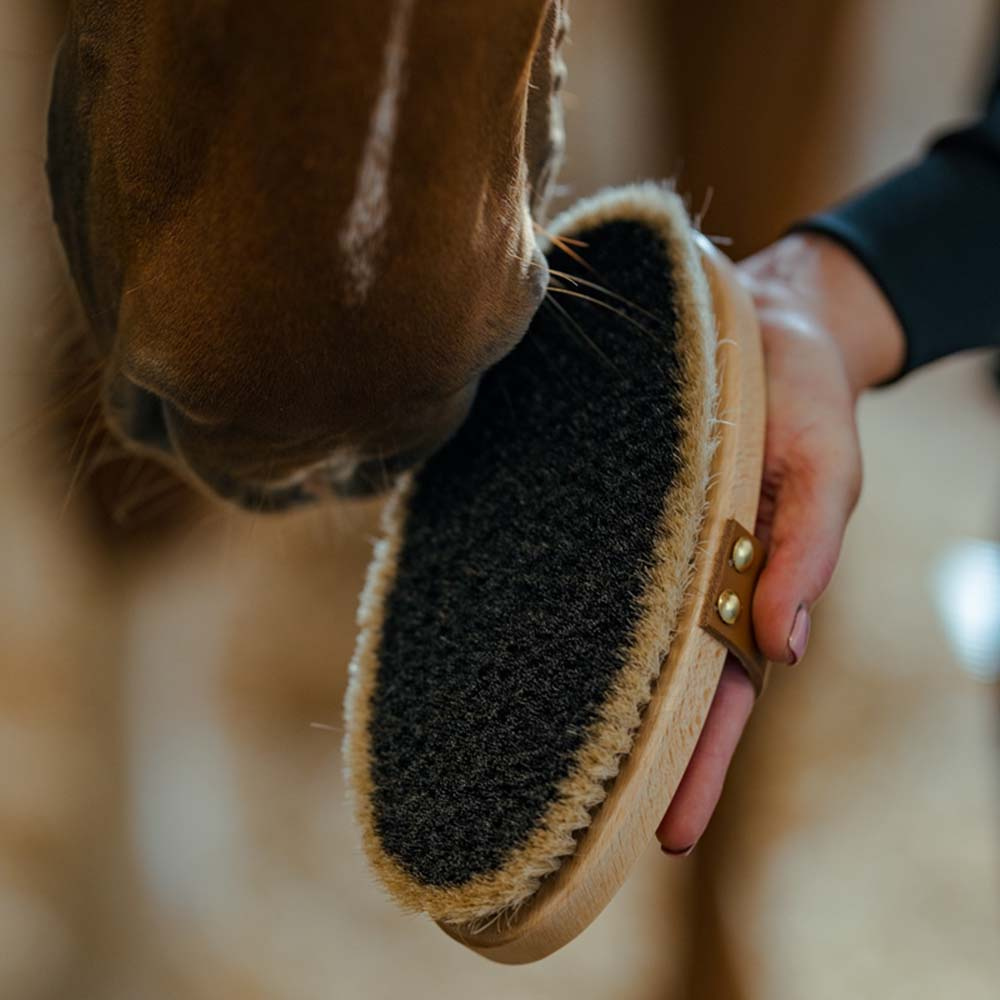 Brosse de toilettage avec sangle en cuir Tagel Marron