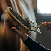 Brosse de toilettage avec sangle en cuir Tagel Marron Brosse de toilettage avec sangle en cuir Tagel Marron