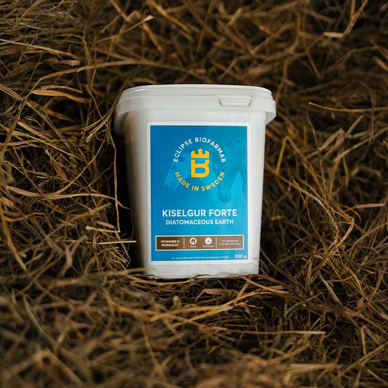 Kieselguhr Forte 0,5 kg 