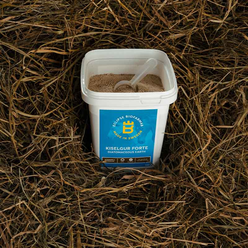 Kieselguhr Forte 0,5 kg 