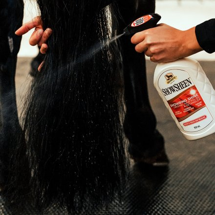 Brillant pour le pelage Showring Shine 950 ml 