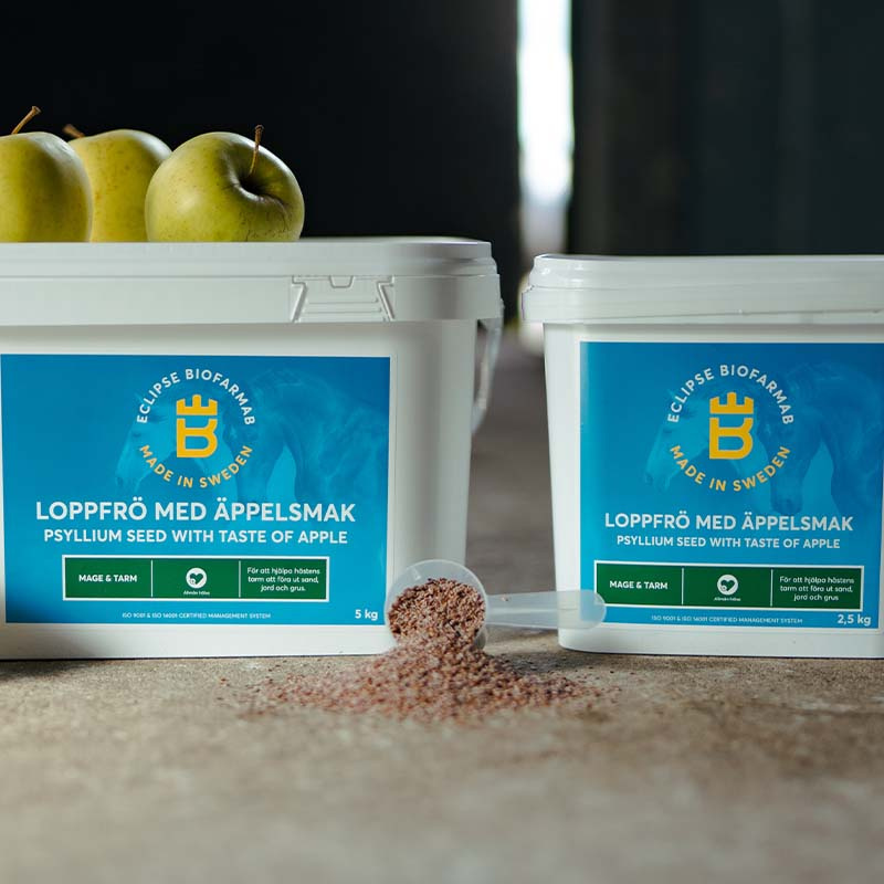 Graines de Lin au Goût de Pomme 5 kg 