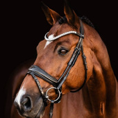 Bridon de dressage Isabell Werth Johnny Noir Bridon de dressage Isabell Werth Johnny Noir