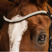 Bridon de dressage Isabell Werth Johnny Noir Bridon de dressage Isabell Werth Johnny Noir