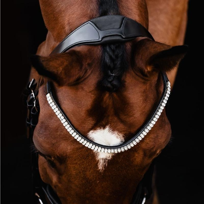 Bridon de dressage Isabell Werth Johnny Noir