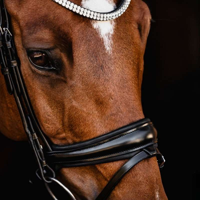 Bridon de dressage Isabell Werth Johnny Noir