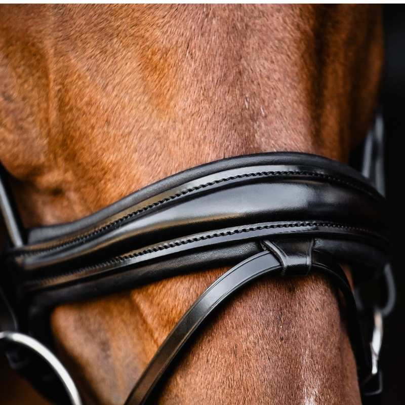 Bridon de dressage Isabell Werth Satchmo Noir