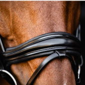 Bridon de dressage Isabell Werth Satchmo Noir Bridon de dressage Isabell Werth Satchmo Noir