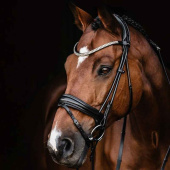 Bridon de dressage Isabell Werth Satchmo Noir Bridon de dressage Isabell Werth Satchmo Noir