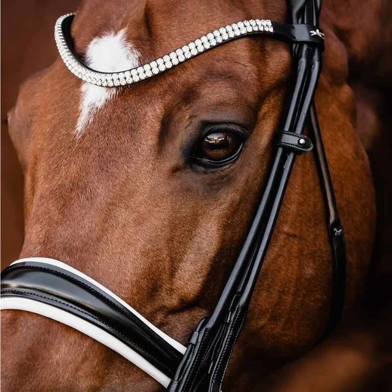 Bride de dressage Isabell Werth Bella Rose Noir/Blanc