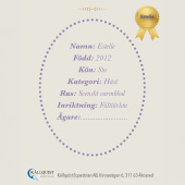 Cheval-bâton Estelle