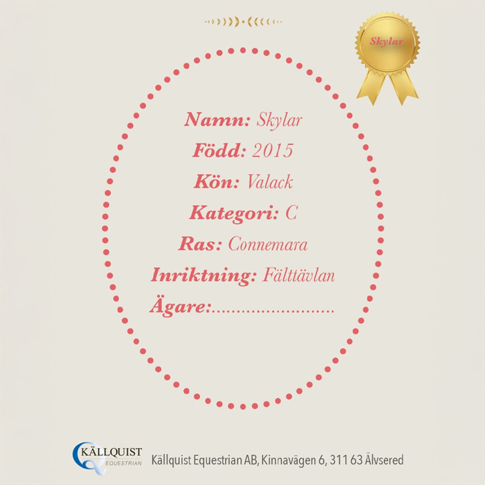 Cheval-bâton Skylar