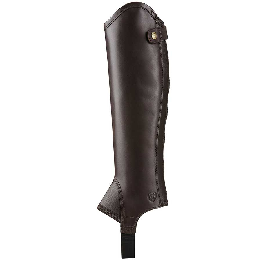 Shortchaps Concorde Marron