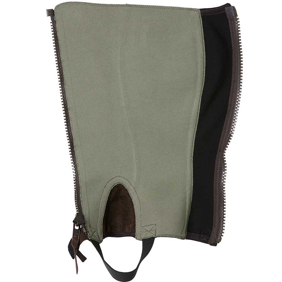 Shortchaps Concorde Marron