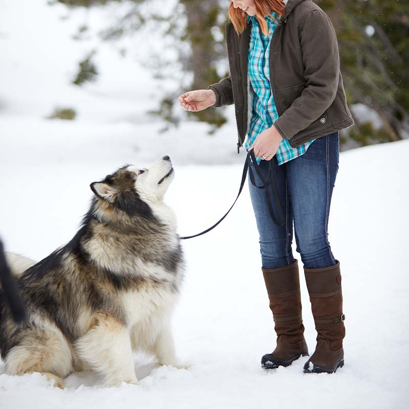 Bottes Langdale H2O Marron