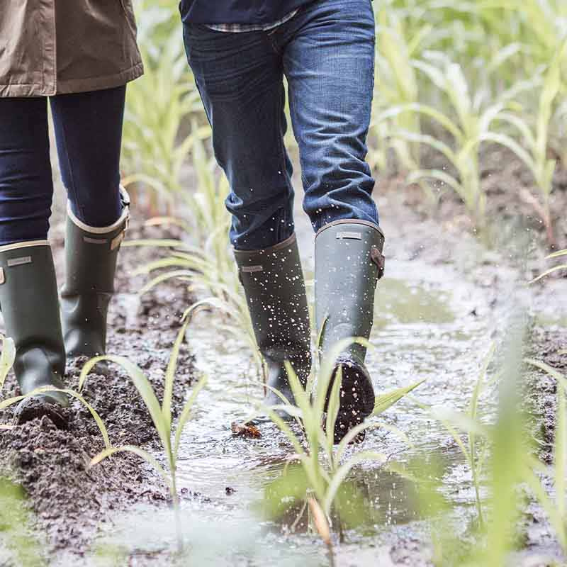 Bottes d'équitation caoutchouc isolées pour homme Burford vertes  
