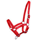Harnais pour poulain Adjustable Rouge Harnais pour poulain Adjustable Rouge