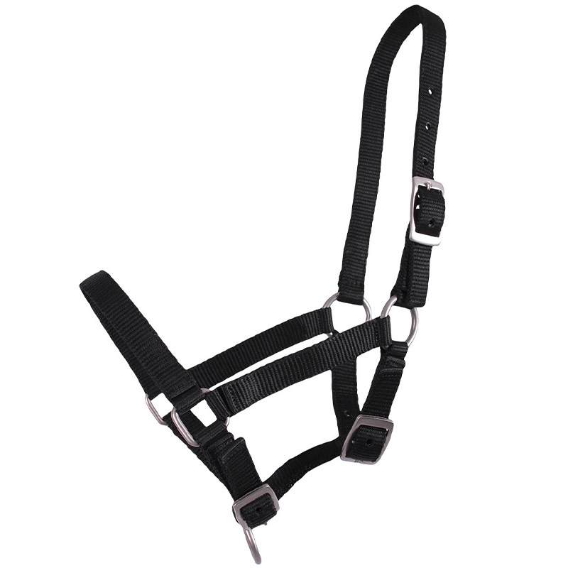 Harnais pour poulain Adjustable Noir
