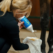 Liniment à l'Arnica Liquide Liniment à l'Arnica Liquide