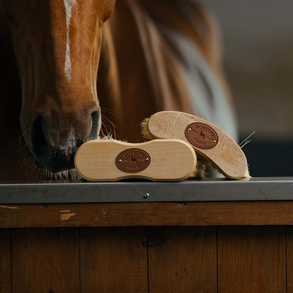 Brosse à banane Mexfiber Marron Moyen