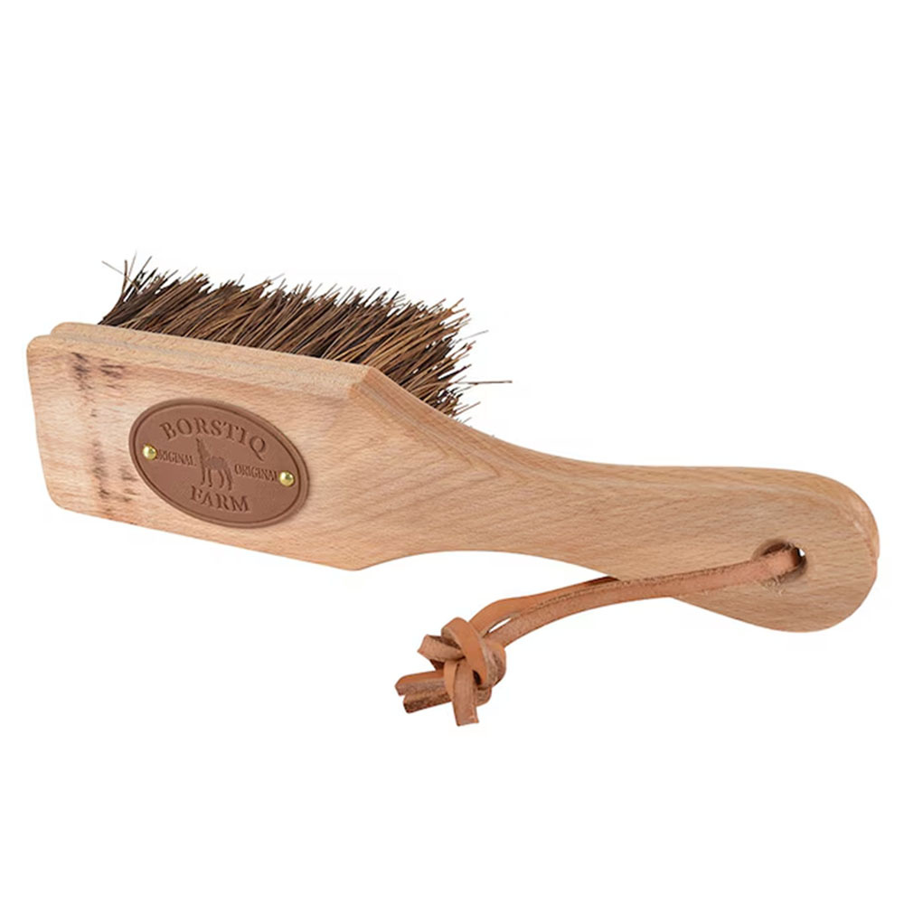Brosse Islänningen Bassine Marron