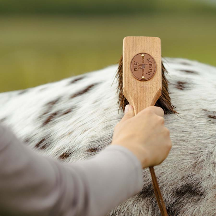 Brosse Islänningen Bassine Marron