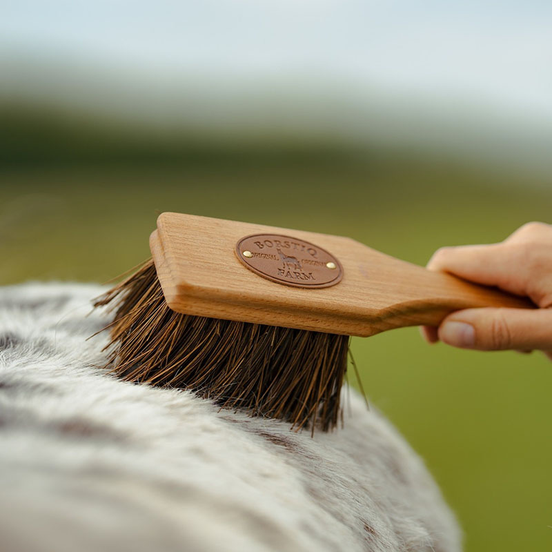 Brosse Islänningen Bassine Marron
