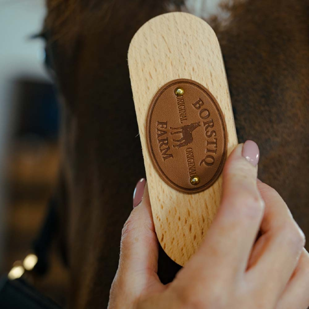Brosse à crins PP-borst Marron