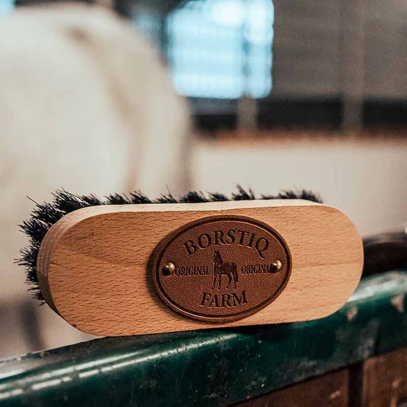 Brosse à crins PP-borst Marron