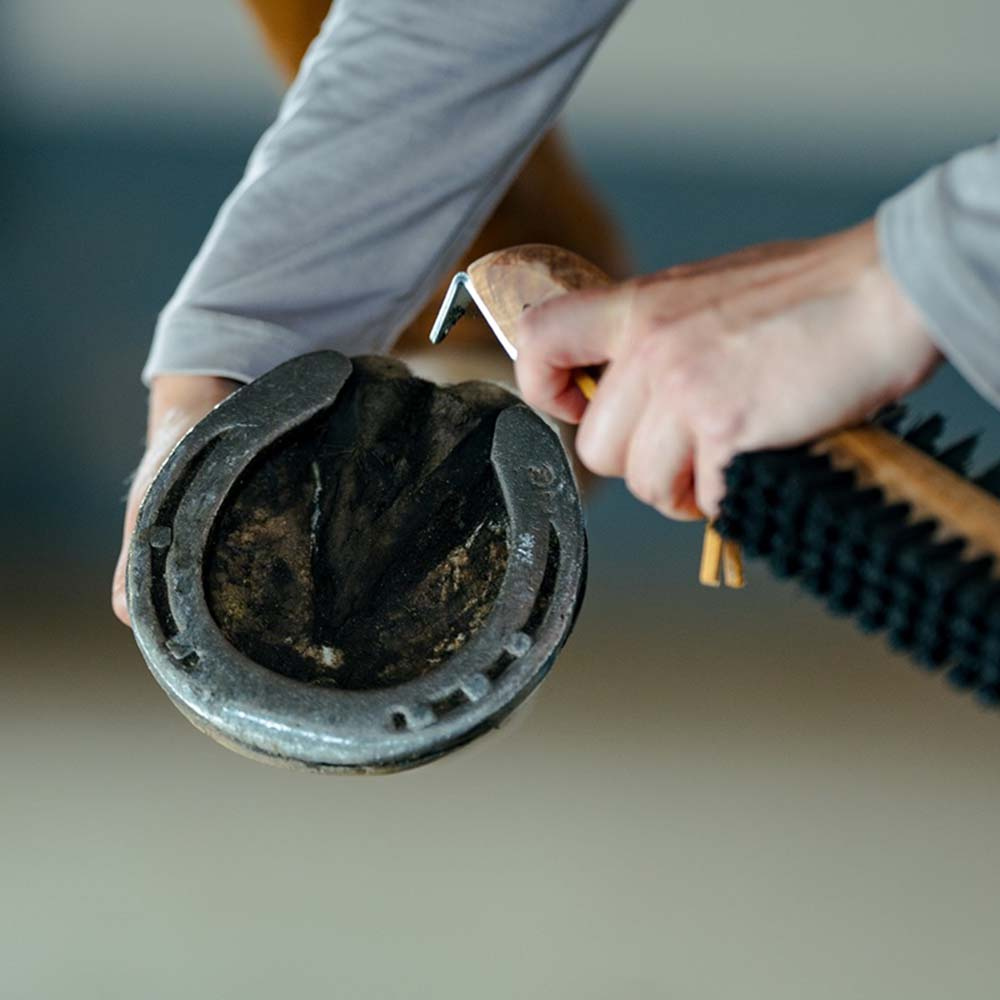 Brosse à sabot avec grattoir à sabot Dubbelsidig Marron