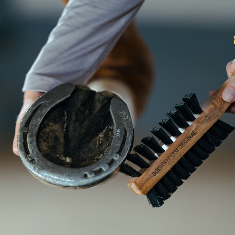 Brosse à sabot avec grattoir à sabot Dubbelsidig Marron