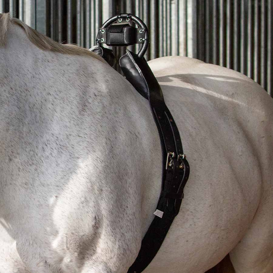 Alarme de Naissance Fölvakt Premium