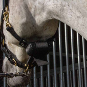 Alarme de Naissance Fölvakt Lite 2.0 Alarme de Naissance Fölvakt Lite 2.0