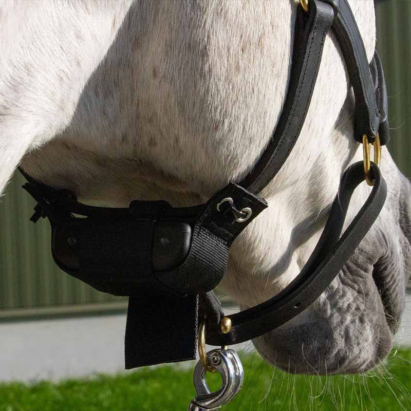 Alarme de Naissance Fölvakt Lite 2.0