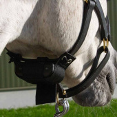 Alarme de Naissance Fölvakt Lite 2.0 Alarme de Naissance Fölvakt Lite 2.0