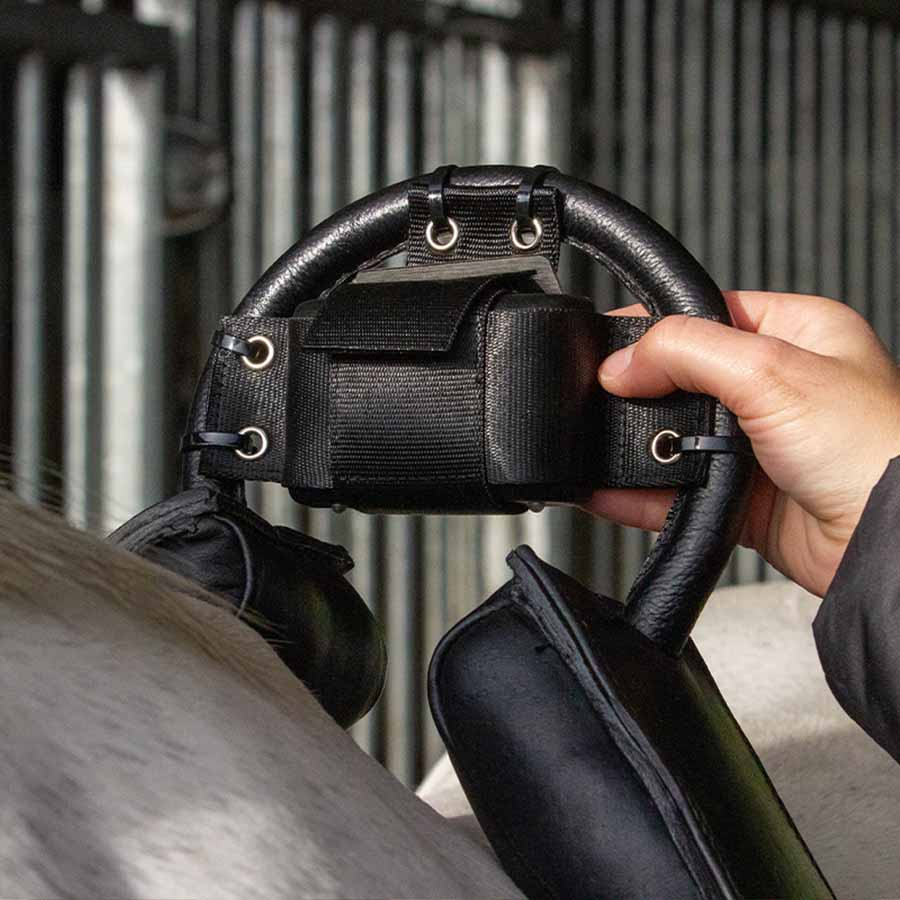 Alarme de Naissance Fölvakt Lite 2.0