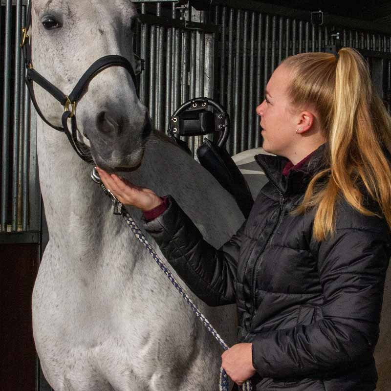 Alarme de Naissance Fölvakt Lite 2.0