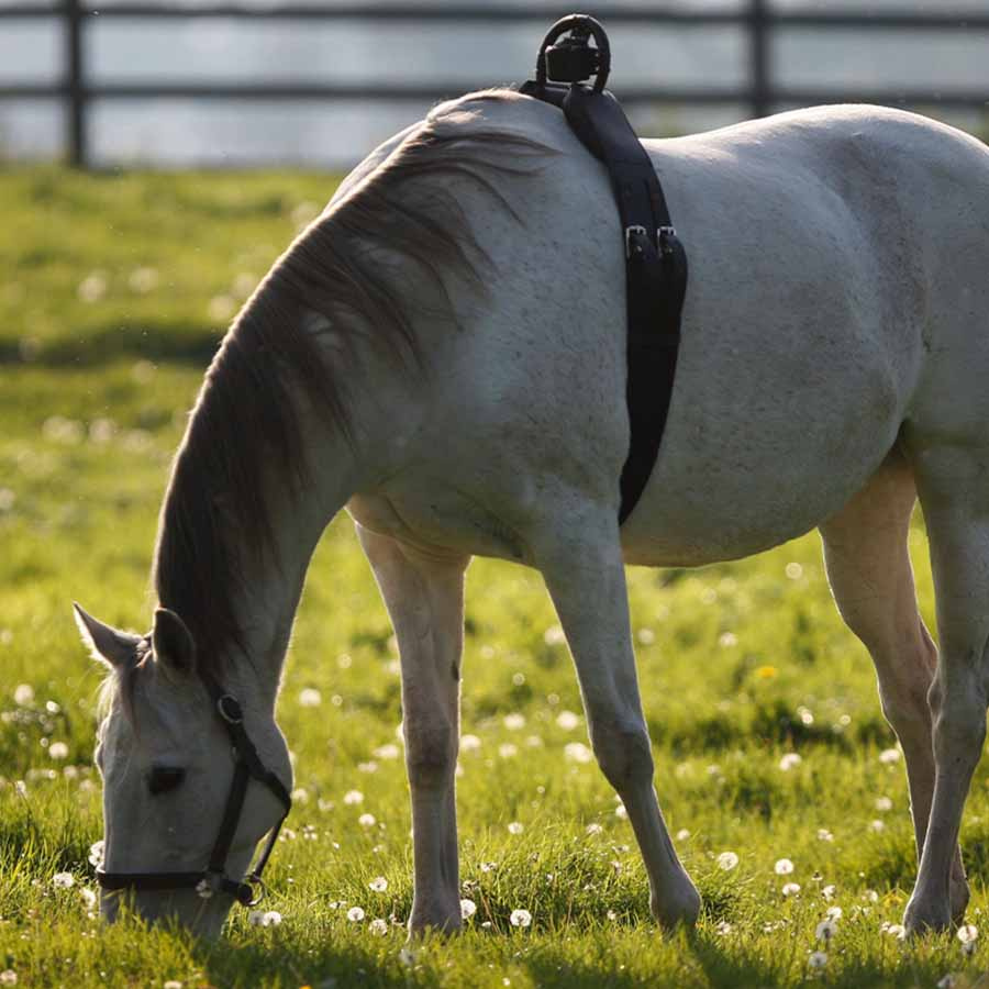 Alarme de Naissance Fölvakt Lite 2.0