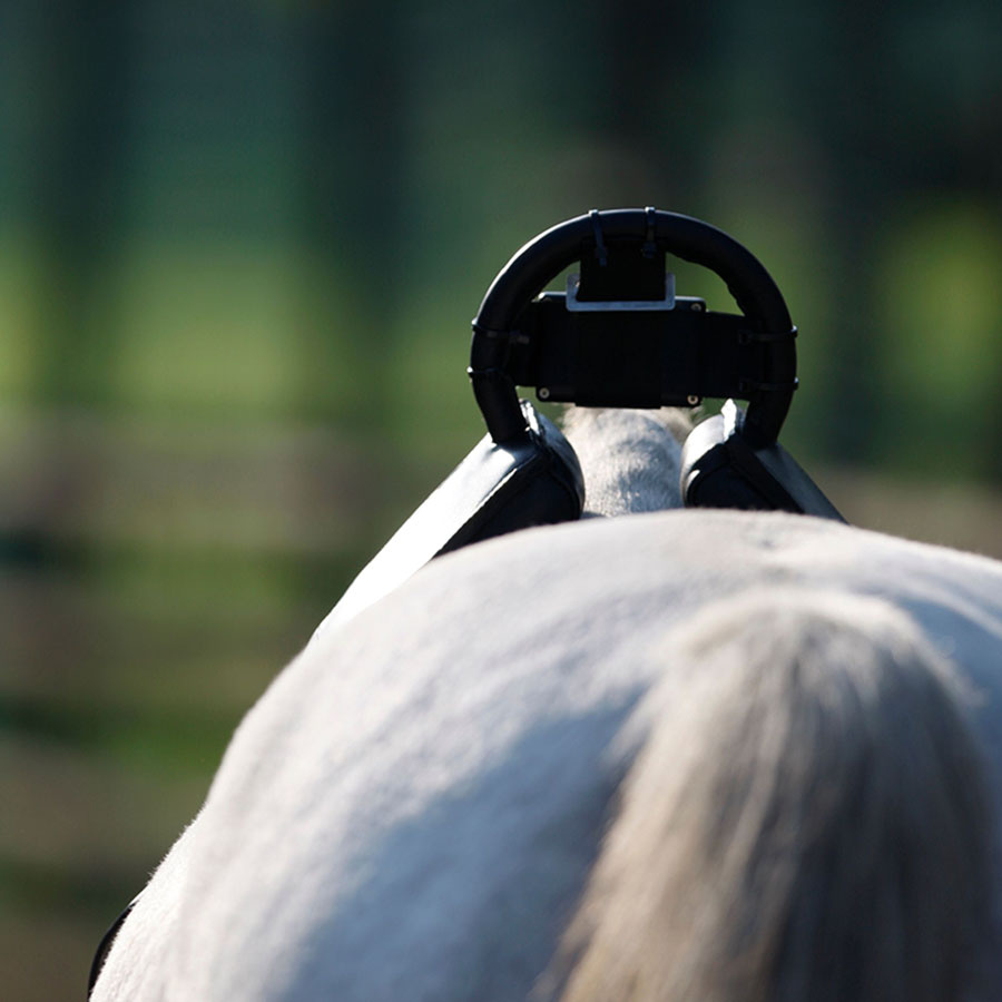 Alarme de Naissance Fölvakt Lite 2.0