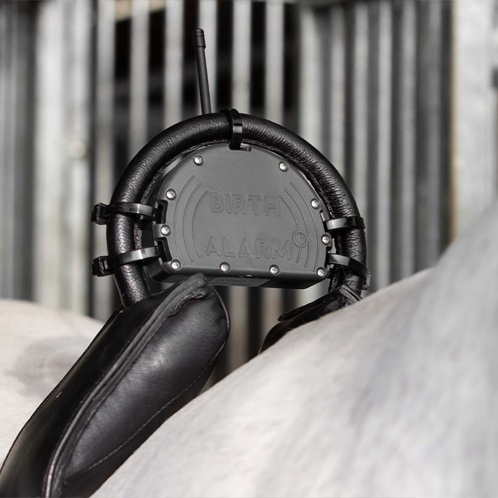 Alarme de Naissance Fölvakt Mobile 2.0