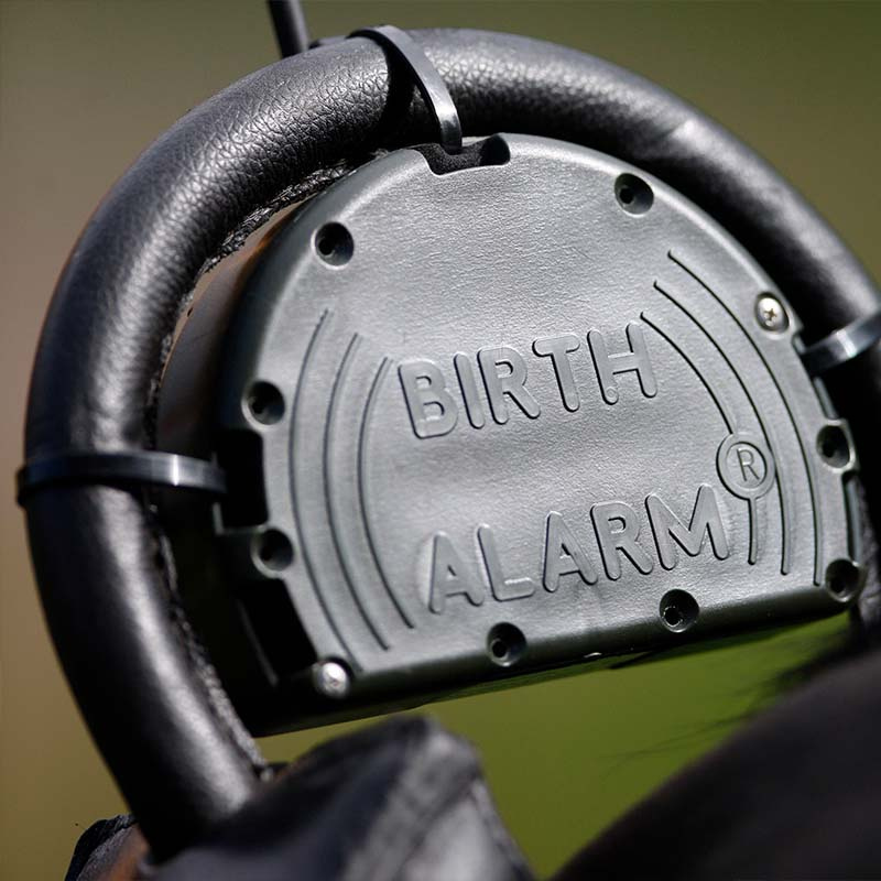 Alarme de Naissance Fölvakt Mobile 2.0