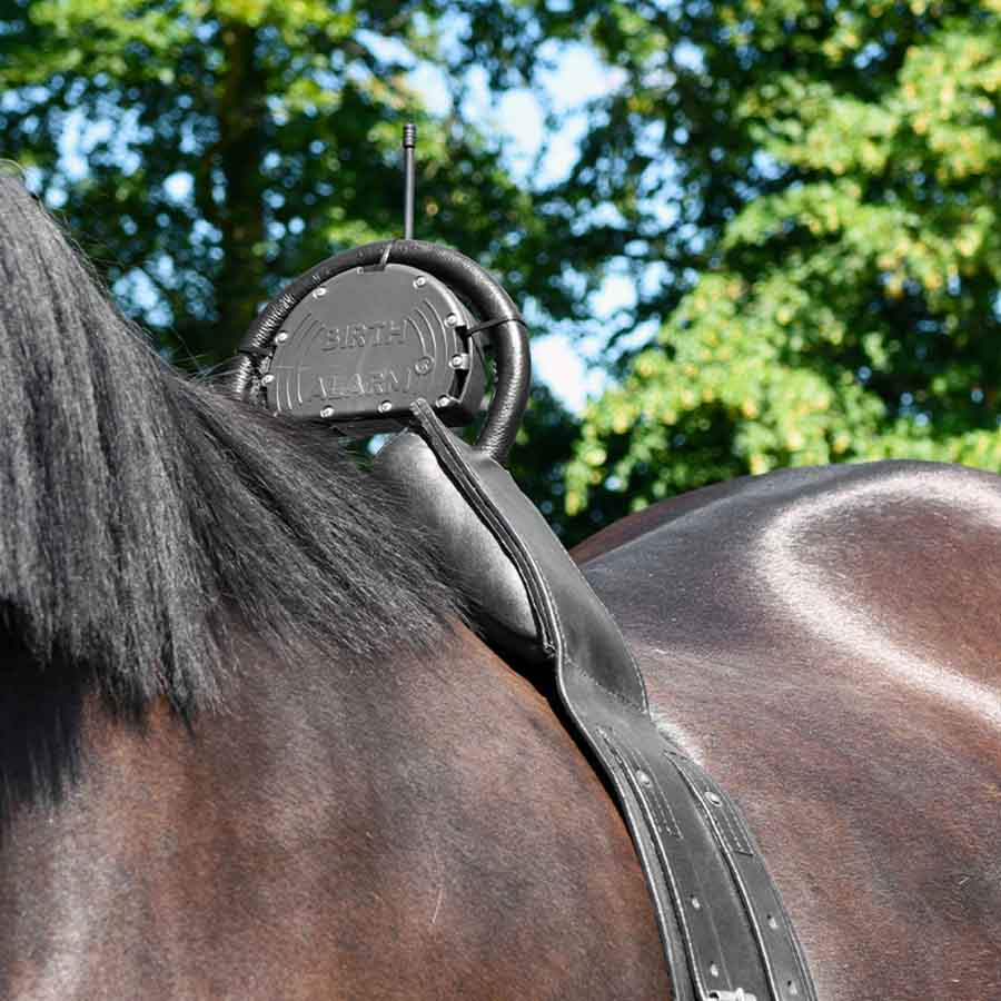 Alarme de Naissance Fölvakt Mobile 2.0 avec Sangle Anti-Roulade