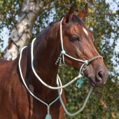 Halter en corde avec rênes Combi Liberty Vert Clair Halter en corde avec rênes Combi Liberty Vert Clair
