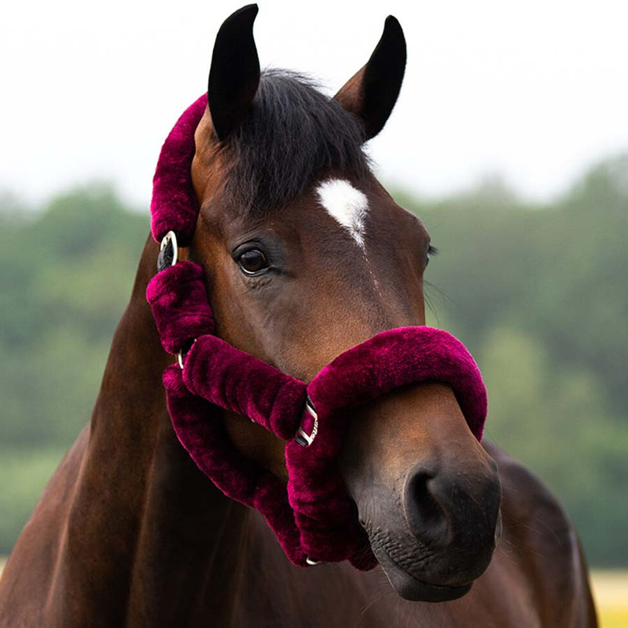 Licol Alaska Fausse Fourrure Rouge Vin