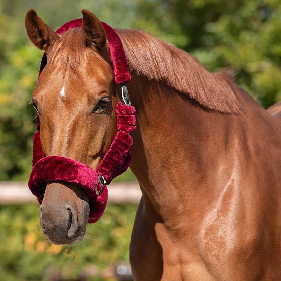 Licol Alaska Fausse Fourrure Rouge Vin